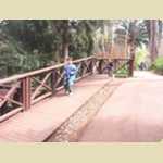 Araluen Botanical park in Roleystone -  117 of 376