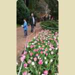 Araluen Botanical park in Roleystone -  225 of 376