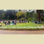 Araluen Botanical park in Roleystone -  252 of 376