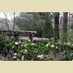 Araluen Botanical park in Roleystone