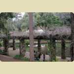 Araluen Botanical park in Roleystone -  308 of 376