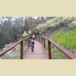 Araluen Botanical park in Roleystone -  369 of 376