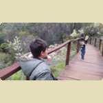 Araluen Botanical park in Roleystone -  370 of 376