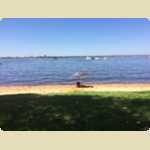 Matilda Bay picnic and kayaking