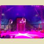 Ashton Circus