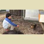 Landsdale animal form and Orchid nursery -  50 of 230