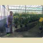 Landsdale animal form and Orchid nursery