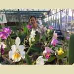 Landsdale animal form and Orchid nursery -  224 of 230