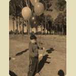 Balloons in the Pine trees -  2 of 291