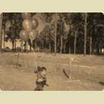 Balloons in the Pine trees -  4 of 291