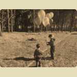 Balloons in the Pine trees -  8 of 291