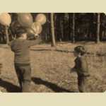 Balloons in the Pine trees -  13 of 291