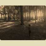 Balloons in the Pine trees -  57 of 291