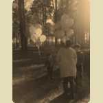 Balloons in the Pine trees -  90 of 291