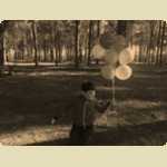Balloons in the Pine trees -  95 of 291