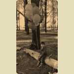 Balloons in the Pine trees -  107 of 291