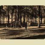 Balloons in the Pine trees -  156 of 291