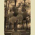 Balloons in the Pine trees -  180 of 291