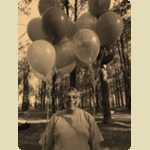 Balloons in the Pine trees -  181 of 291