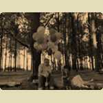 Balloons in the Pine trees -  234 of 291