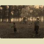 Balloons in the Pine trees -  243 of 291