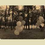 Balloons in the Pine trees -  266 of 291