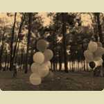 Balloons in the Pine trees -  267 of 291