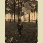 Balloons in the Pine trees