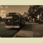 Tram ride at Whiteman Park