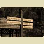 Araluen Botanical Park -  30 of 234