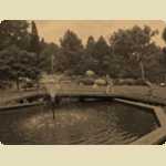 Araluen Botanical Park -  186 of 234