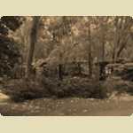 Araluen Botanical Park