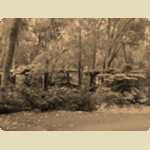 Araluen Botanical Park -  228 of 234