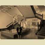 Trip to the WA Museum - Boola Bardip -  49 of 62