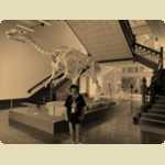 Trip to the WA Museum - Boola Bardip
